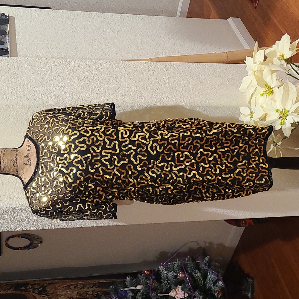 Patchouli From Nature vintage sequin dress.